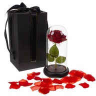 Wieczna Róża w Szkle Świecąca Prezent LED Pudełko Czerwona + Płatki Róży