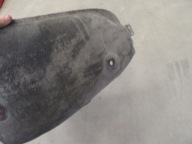 mudguard left left rear part cover wheels BMW e91