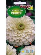 Cínia dahlia Purity 1g+20% biela