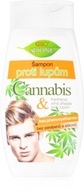Bione Cosmetics Cannabis šampón proti lupinám pre mužov 260 ml