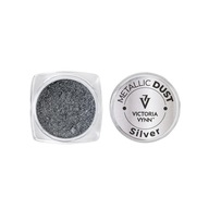 Victoria Vynn DUST Metallic Silver 0,5g Peľ