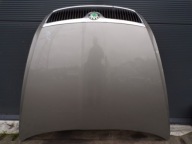 capot SKODA OCTAVIA 2 II couleur 9202 (1)