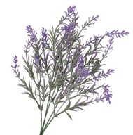 MŰVIRÁG NÖVÉNYEK GALLYAK CSOKOR LEVENDULA