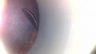 engine complete 272964 Mercedes E350 W211 272KM V6 3.5 272.964