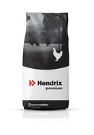 Hendrix Protamix Poultry Koncentrat dla drobiu