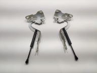 hinge bonnet hinges left right KOMPLET RENAULT ZOE and 2013-2019