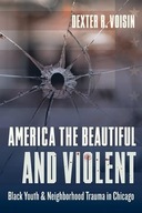 America the Beautiful and Violent: Black Youth