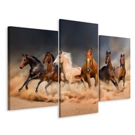 Obraz Triptych kone v Galope 3D púšť 120x80