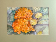 Oranžové prvosienky akvarel B. Mlynček-Szilke