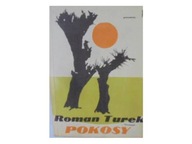 Pokosy - Turek