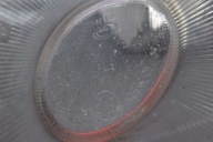 fog light right front front 90585030 OPEL VECTRA B LIFT 99-02
