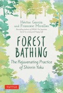 Forest Bathing: The Rejuvenating Practice of