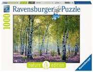 Puzzle LAS BRZOZOWY 1000 elementów Ravensburger