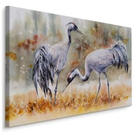 Obraz vtáky žeriavy pole akvarel pre obývaciu izbu 40x30