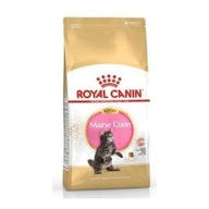 Royal Main Coon Kitten 2kg