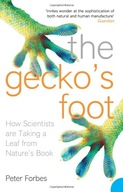 The Gecko s Foot: How Scientists are Taking a