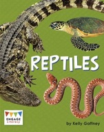 Reptiles Gaffney Kelly