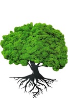 Strom z chrobotu - obraz z prírodného machu 15cm