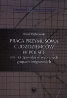 Praca przymusowa cudzoziemców w Polsce Paweł Dąbrowski