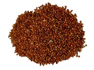 SORGO CZERWONE 1kg