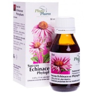Succus Echinacea sok z jeżówki purpurowej 50 ml