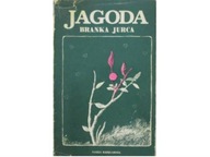 Jagoda - Jurca