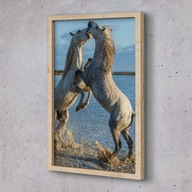 Obraz w ramie na ścianę Konie woda zabawa 40x60