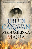 ZŁODZIEJSKA MAGIA. PRAWO MILENIUM. KSIĘGA PIERWSZA