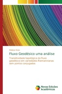 Fluxo Geodesico uma analise: Transitividade topologica do fluxo geodesico e