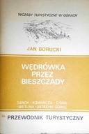 Wędrówka przez Bieszczady - Jan. Borucki