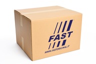 Fast FT39098 Palivový filter