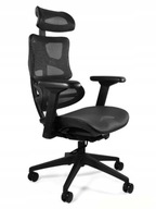 Ergonomiczny fotel biurowy ERGOTECH BLACK-FRAME