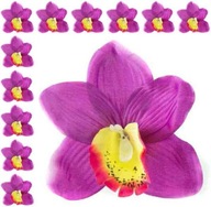 Storczyk cymbidium główka Kwiat Purple/yell 12 szt