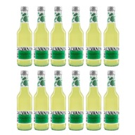 Galvanina Begramotka 12x275 ml