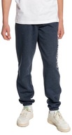 tepláky Quiksilver Trackpant Screen -
