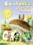 Co słonko widziało - ebook