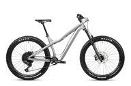 Dartmoor Hornet Pro silver 2024 + eBon 200 PLN