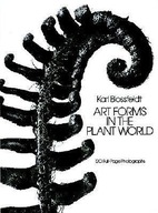 Art Forms in the Plant World Blossfeldt Karl