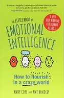 The Little Book of Emotional Intelligence: How to