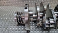 crank NOMINAL 06EP 06E101P AUDI A4 B7 A6 C6 A8 D3 3.2 FSI AUK