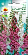 Náprstník Purpurová zmes - Semená 0,5g, Farebná ozdoba záhrady