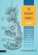 The Divergent Channels - Jing Bie: A Handbook for