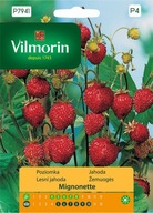 HLADINA Mignonette semená jedinečná chuť a vôňa ovocia VILMORIN