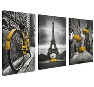 Obraz obrazy na stenu triptych 60x120 Paríž Francúzsko žltá