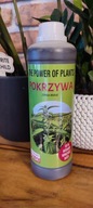 THE POWER OF PLANTS POKRZYWA