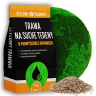 TRAWA NASIONA Na suche gleby Samozageszczająca Odporna na Susza Trawnik 5kg