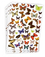 DIY Nálepky motýle 218 x 318 mm 300 ks