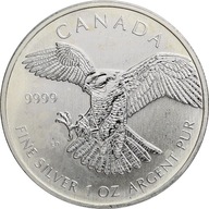 61. Kanada, 5 dolarów 2014, sokół wędrowny, 1 oz Ag999