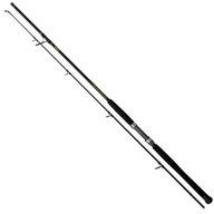 Wędka Black Cat Solid Spin 2,40m 40-160g