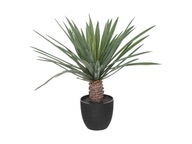 Umelá palma ako živá v čiernom kvetináči, výška 52 cm